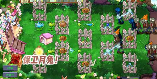 植物大战僵尸共生版