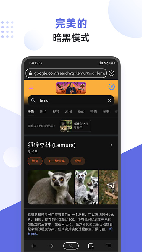 狐猴浏览器安卓版截图3
