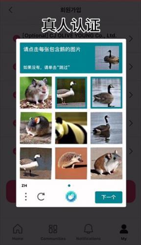 Mnetplus安卓最新版