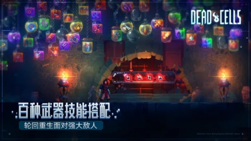 重生细胞华为版截图1