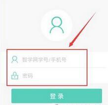 智学网查询成绩