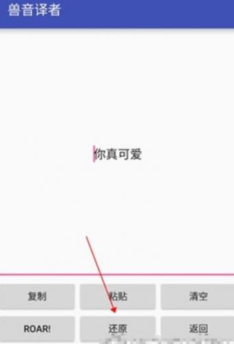 兽音译者解密