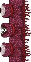 泰拉瑞亚1.5.4.9汉化版
