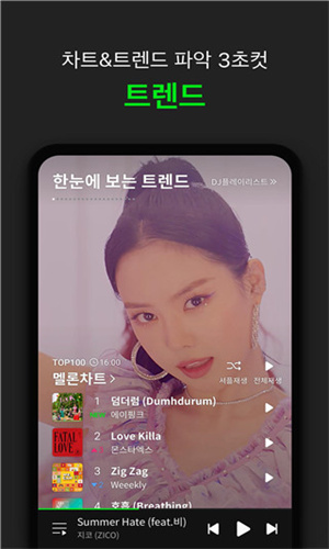 Melon Ticket