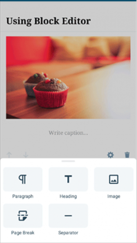 WordPress