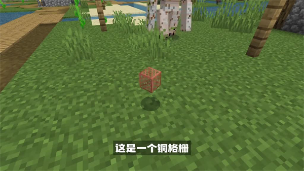 我的世界基岩版