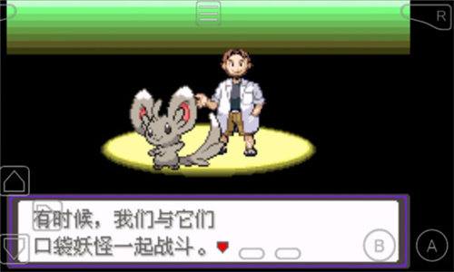口袋妖怪漆黑的魅影截图2