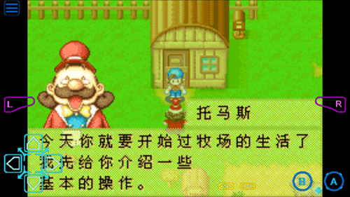 牧场物语男孩版