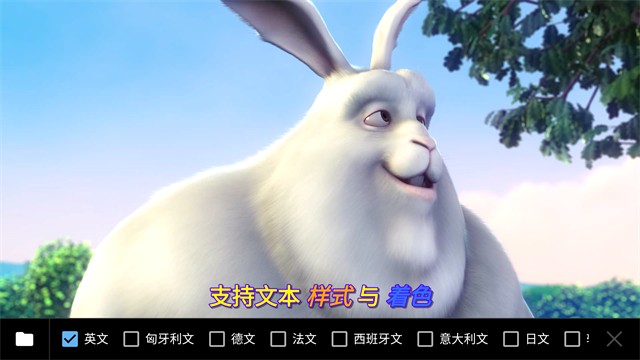 Player播放器截图0