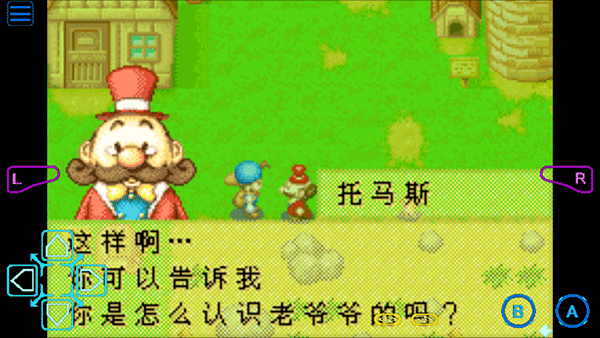 牧场物语男孩版截图0