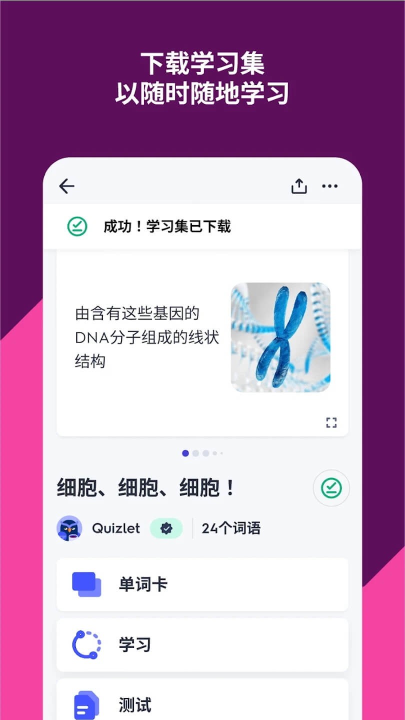 Quizlet安卓版截图1