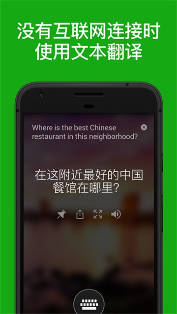 微软翻译截图3