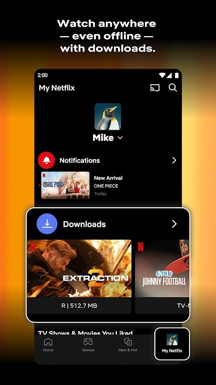 Netflix截图3