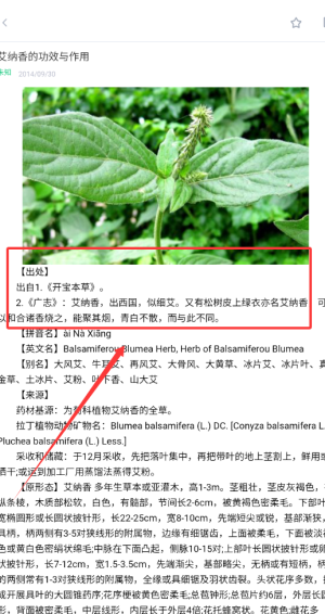 中药大全如何认识中药功效和作用？