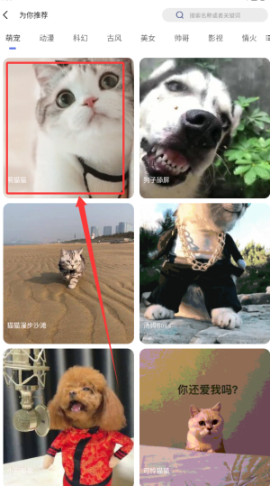 彩虹主题壁纸如何查看更多壁纸？