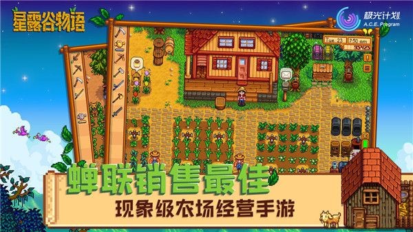 Stardew valley截图2