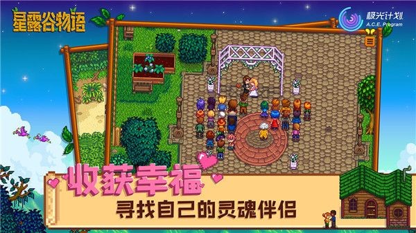 Stardew valley截图3