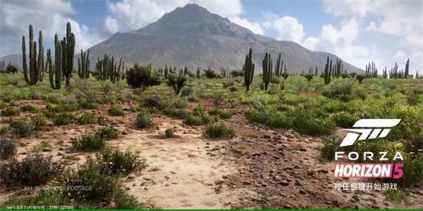 地平线5移植版截图3