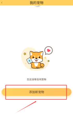 陪彼宠物如何添加宠物信息？