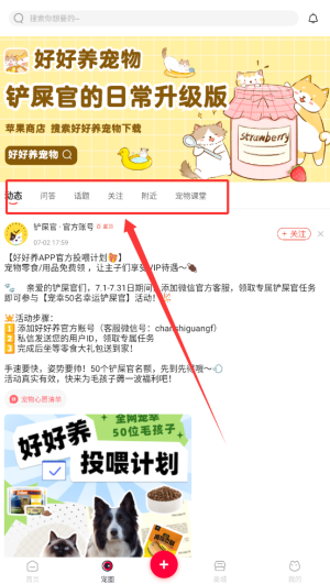 铲屎官的日常如何进入宠物课堂？