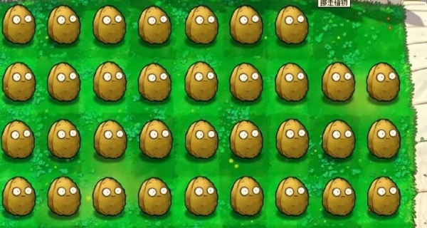 植物大战僵尸1原版