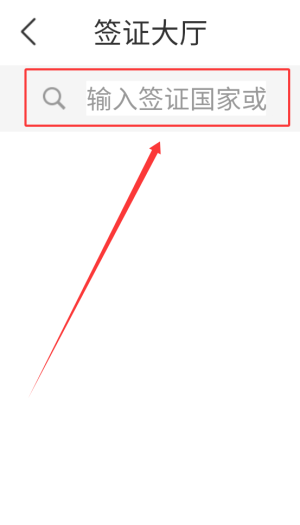 中青旅遨游旅行如何申请签证?