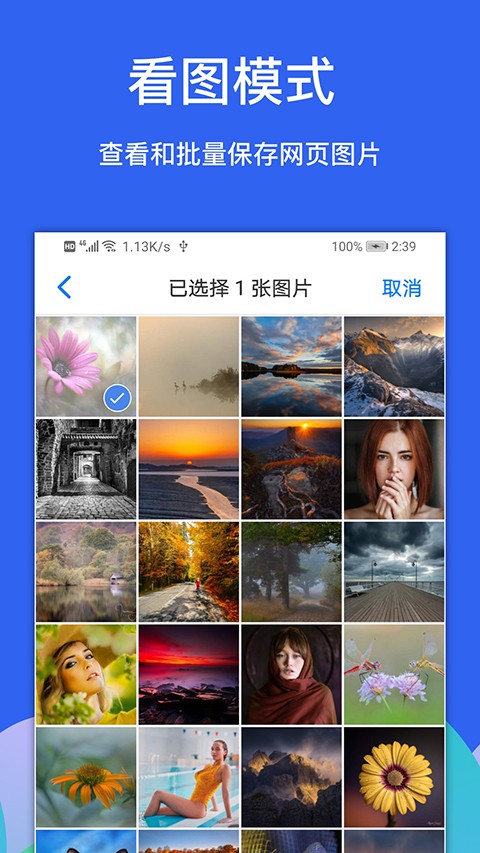 Alook浏览器截图1