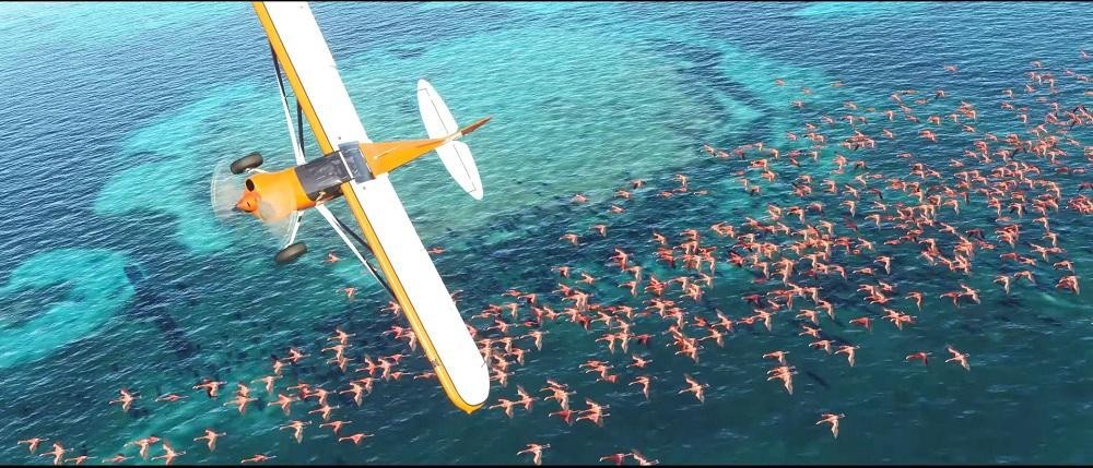 微软模拟飞行截图4