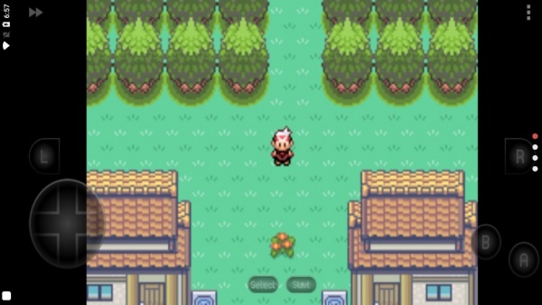 宝可梦漆黑的魅影5.0