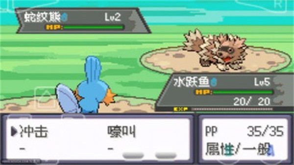 口袋妖怪绿宝石386版截图4