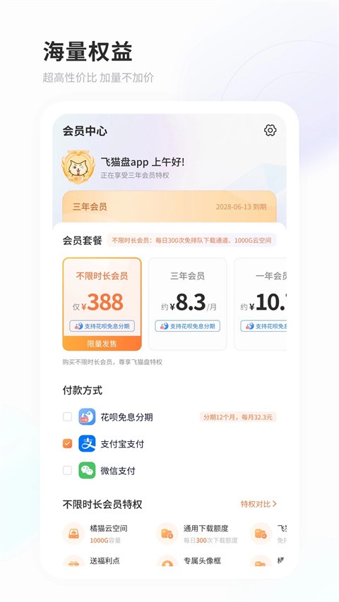 飞猫网盘截图1