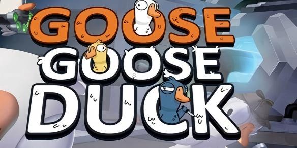 鹅鸭杀投票规则介绍