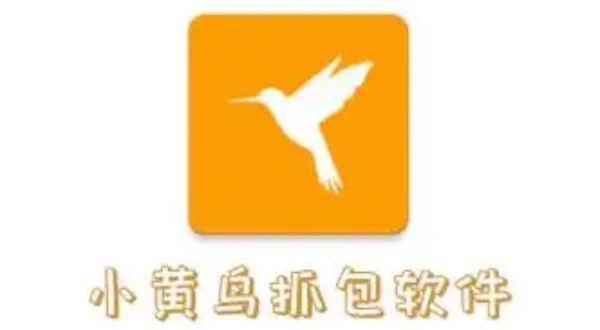 小黄鸟抓包软件高级版本合集