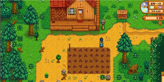 Stardew valley