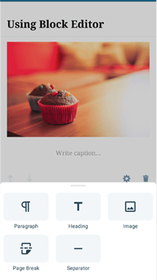 WordPress网站建设