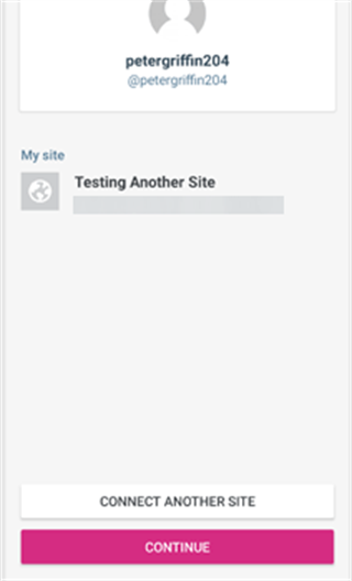 WordPress网站建设