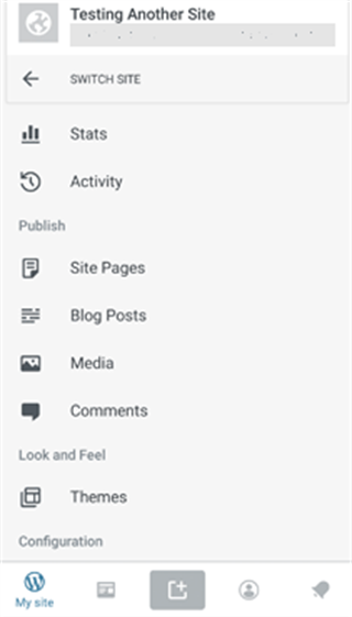WordPress网站建设