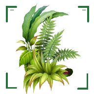 识万物扫一扫软件