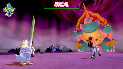 精灵宝可梦剑盾截图1