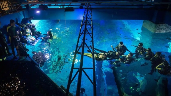 深海迷航手机版