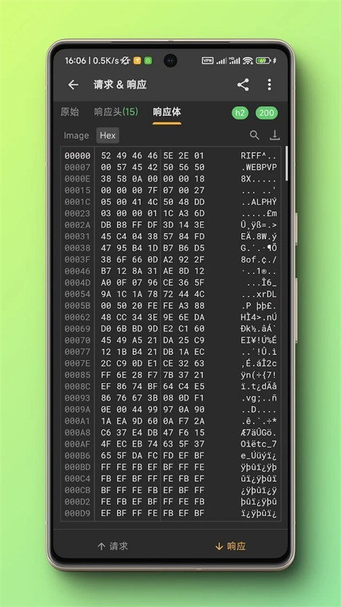 小黄鸟抓包软件截图3