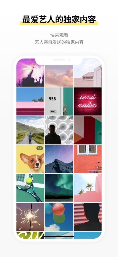 Lysn国际版截图3