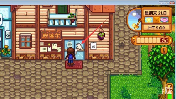 Stardewvalley