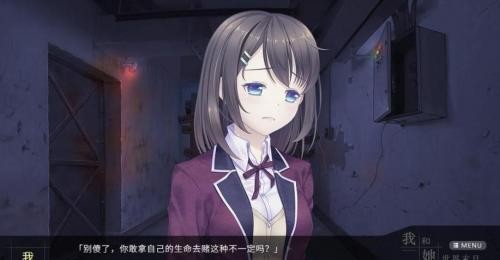 我和她的世界末日汉化版截图3