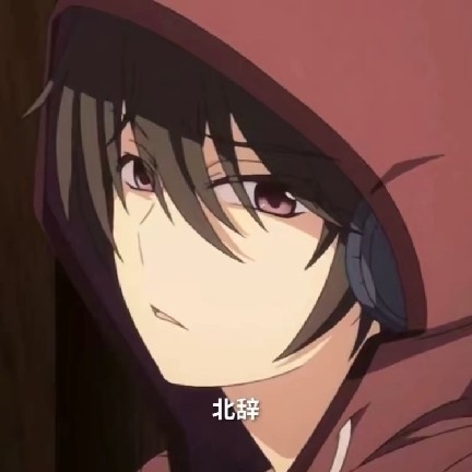 北辞弱网9.0参数