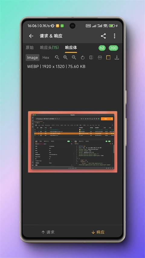 小黄鸟抓包截图2