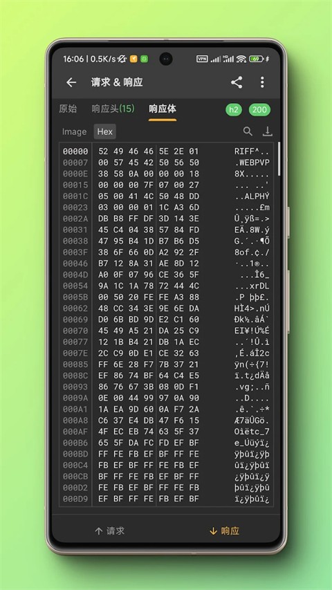 小黄鸟抓包截图3
