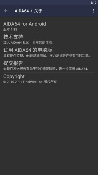 AIDA64截图0