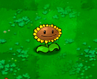 植物大战僵尸年度版