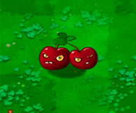 植物大战僵尸年度版